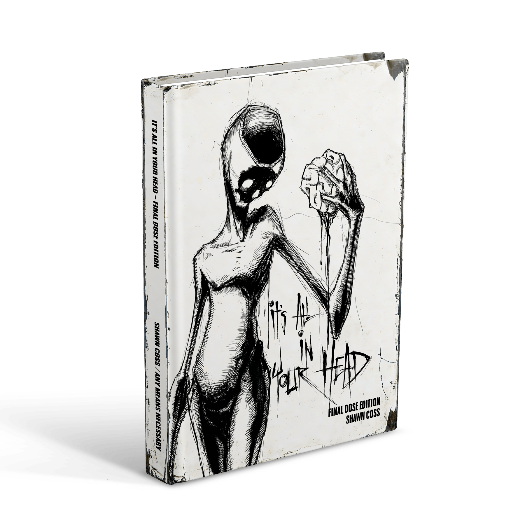 Vol 3 - It's All In Your Head Art Book - STAND OUT FLEXSARAH